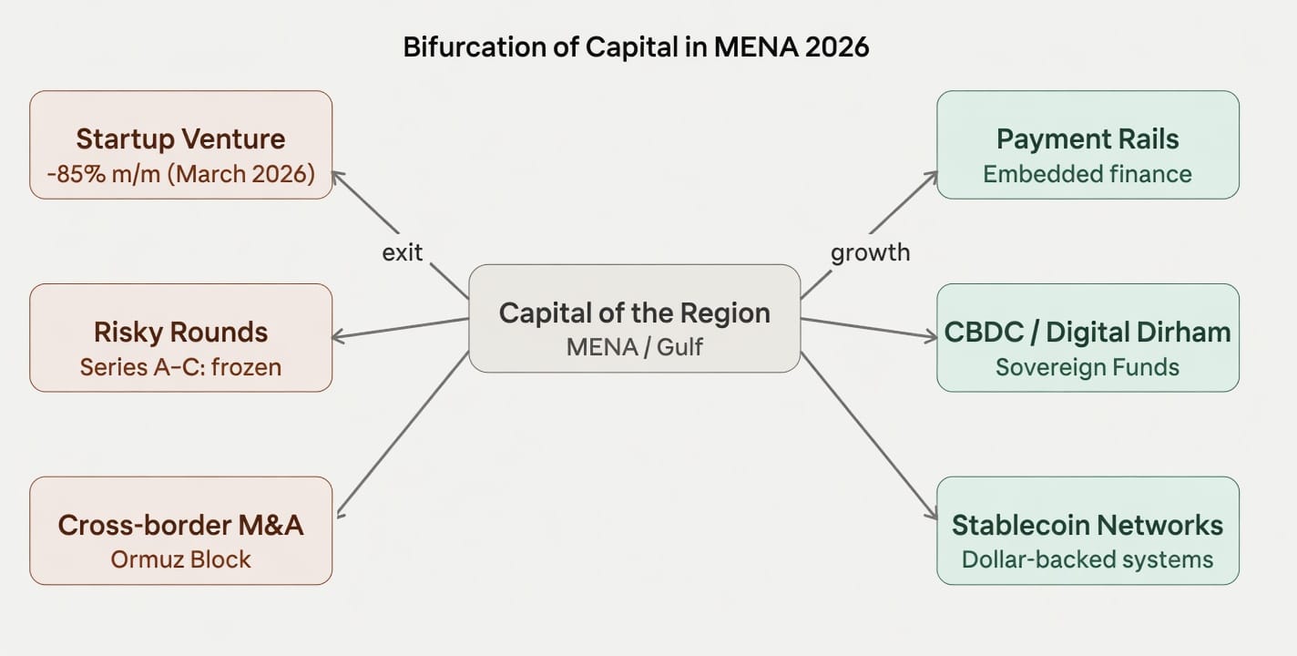 MENA Fintech 2026: Collapse or a Reconfiguration