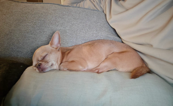 Deep Sleep, Not Deep Thinking